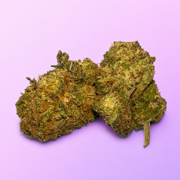 Gary Payton product image