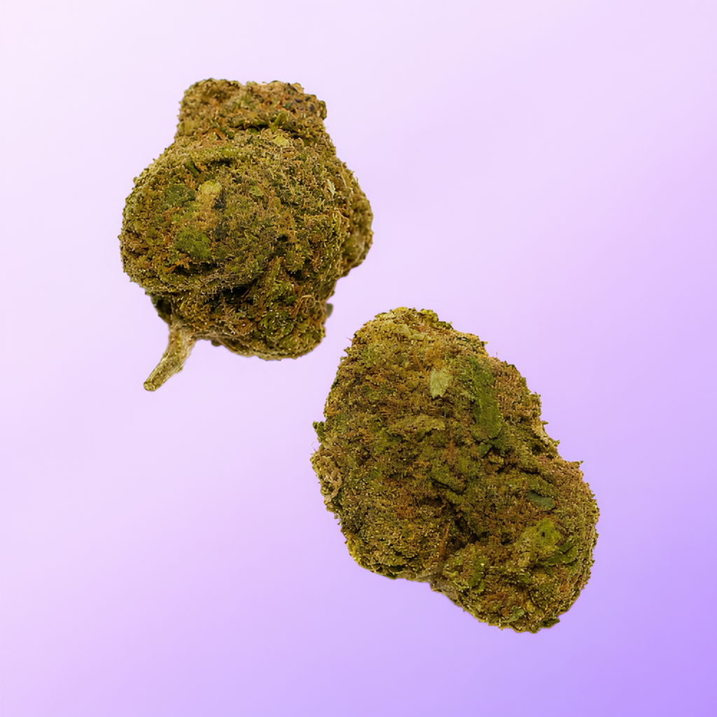 Lemon Otter Potz product image